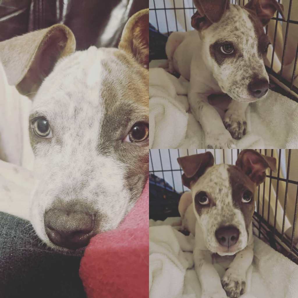 This image has an empty alt attribute; its file name is pearl-girl.jpg